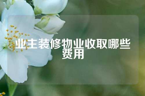 业主装修物业收取哪些费用