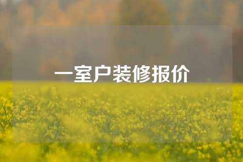 一室户装修报价