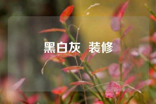 黑白灰  装修