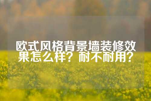 欧式风格背景墙装修效果怎么样？耐不耐用？