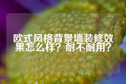 欧式风格背景墙装修效果怎么样？耐不耐用？