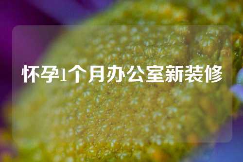怀孕1个月办公室新装修