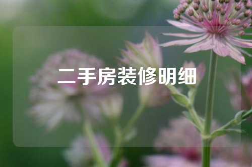 二手房装修明细