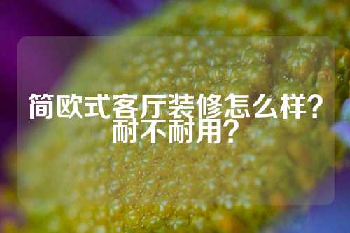简欧式客厅装修怎么样？耐不耐用？