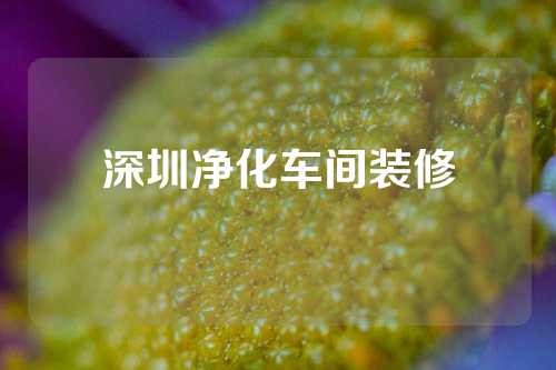 深圳净化车间装修
