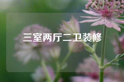 三室两厅二卫装修