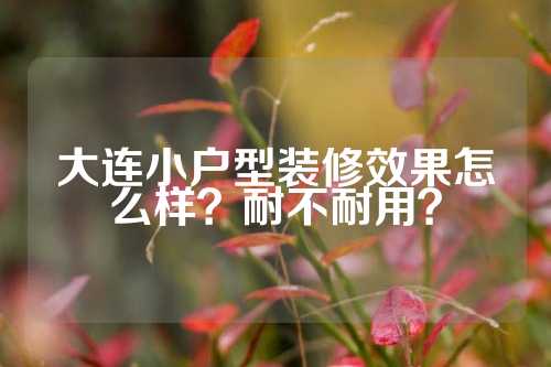 大连小户型装修效果怎么样？耐不耐用？