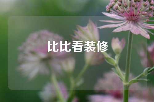 比比看装修