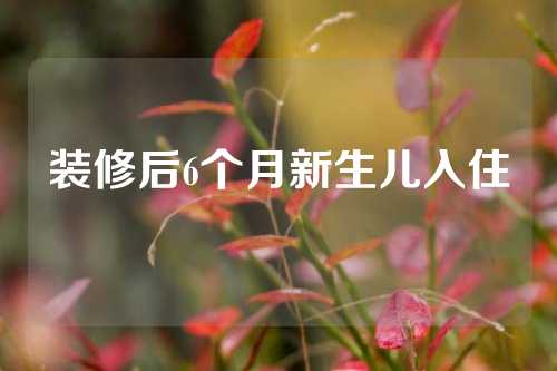 装修后6个月新生儿入住