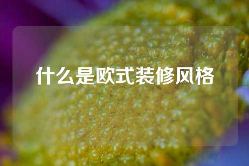 什么是欧式装修风格