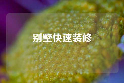 别墅快速装修