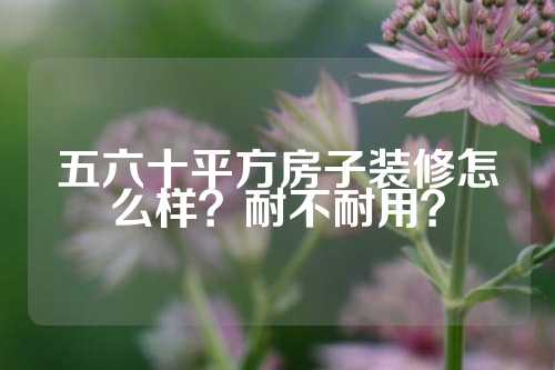 五六十平方房子装修怎么样？耐不耐用？