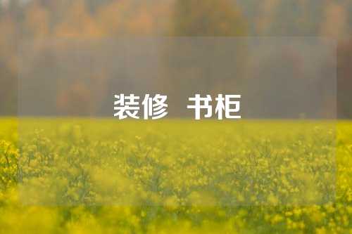装修  书柜