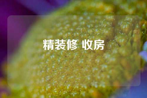 精装修 收房