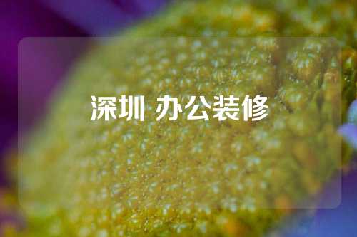 深圳 办公装修