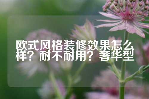 欧式风格装修效果怎么样？耐不耐用？奢华型