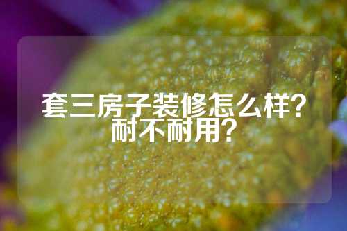 套三房子装修怎么样？耐不耐用？