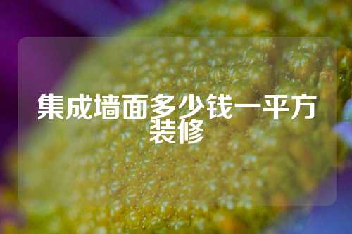 集成墙面多少钱一平方装修