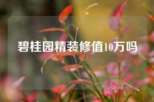 碧桂园精装修值10万吗