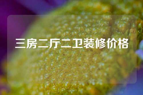 三房二厅二卫装修价格