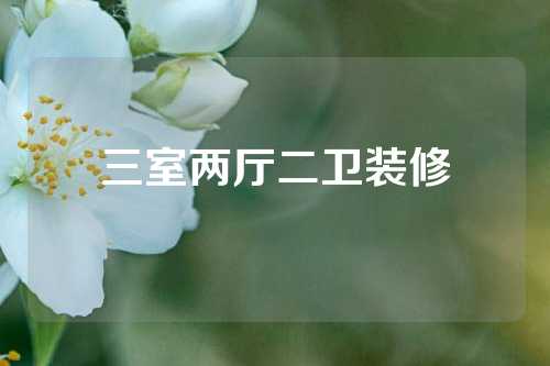 三室两厅二卫装修