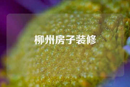 柳州房子装修