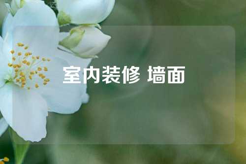 室内装修 墙面