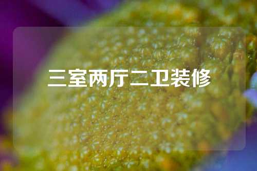 三室两厅二卫装修