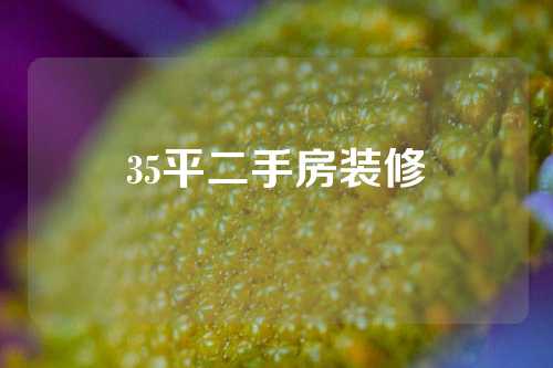 35平二手房装修