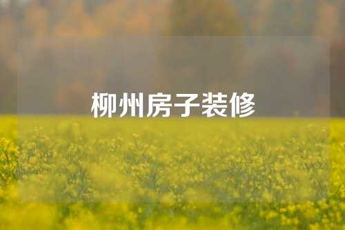 柳州房子装修