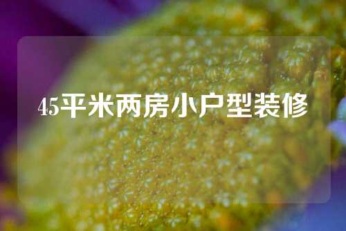 45平米两房小户型装修