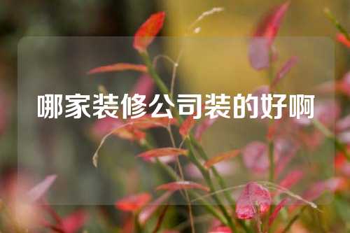哪家装修公司装的好啊