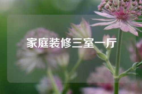 家庭装修三室一厅