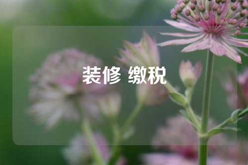 装修 缴税