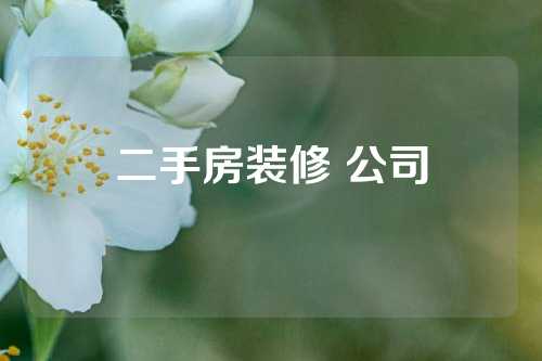 二手房装修 公司