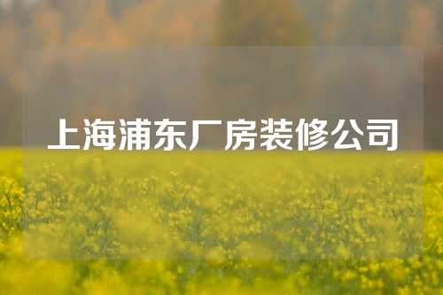 上海浦东厂房装修公司