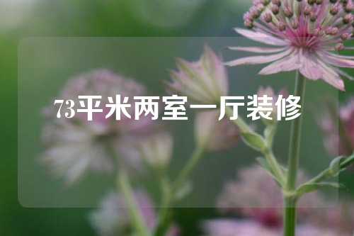73平米两室一厅装修