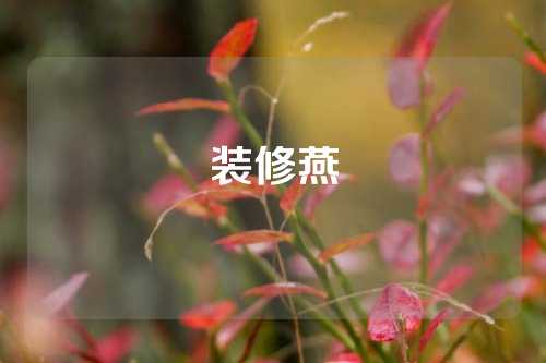 装修燕