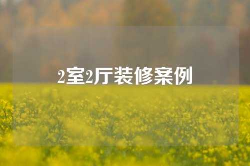 2室2厅装修案例