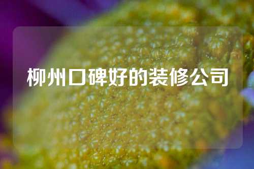 柳州口碑好的装修公司