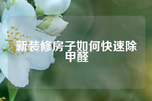 新装修房子如何快速除甲醛