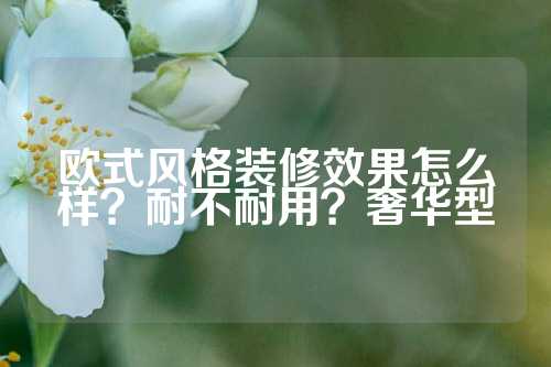 欧式风格装修效果怎么样？耐不耐用？奢华型