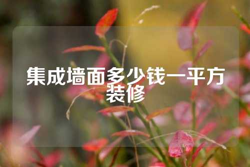 集成墙面多少钱一平方装修