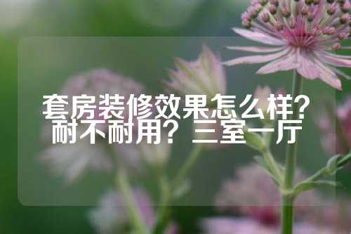 套房装修效果怎么样？耐不耐用？三室一厅