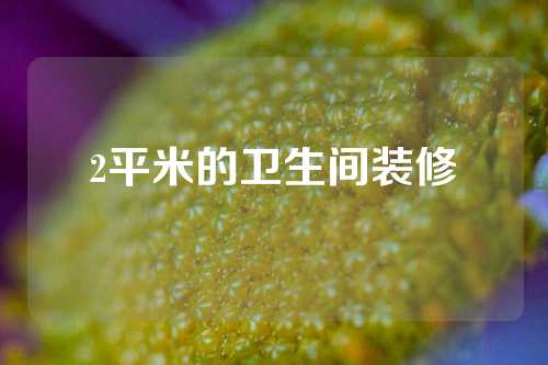 2平米的卫生间装修